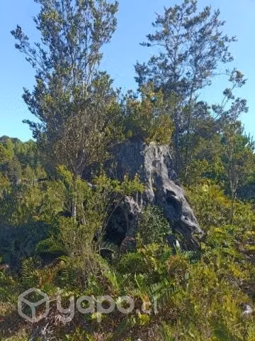 Vendo parcela a minutos de Puerto Varas