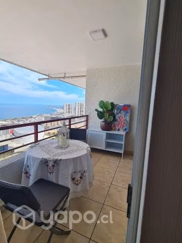 Se arrienda departamento año corrido