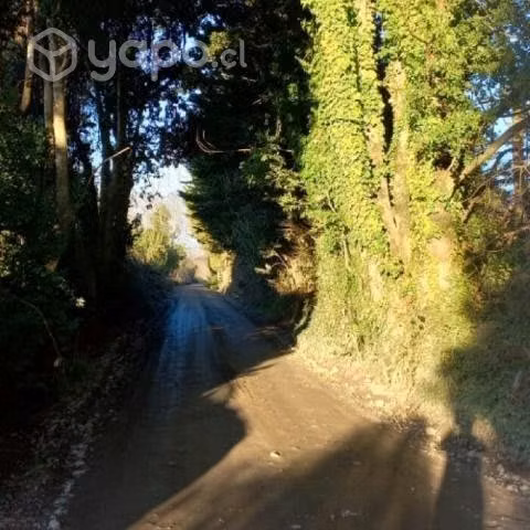 Venta de Parcela en Panguipulli