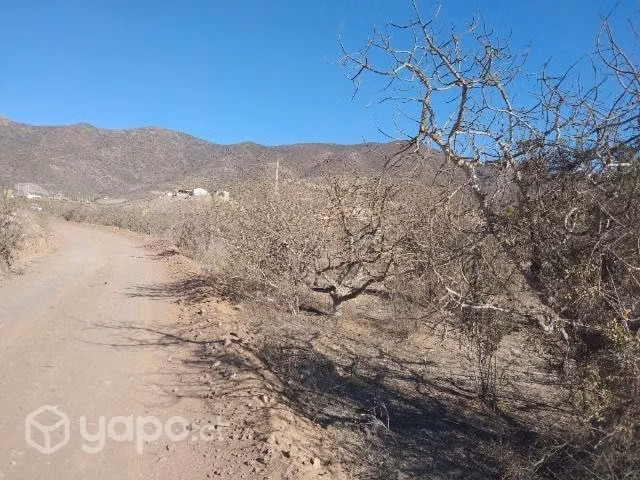 Vendo terreno