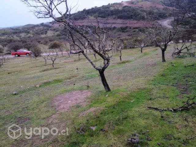 Parcela en proyecto lomas de peralillo - Imagen 4