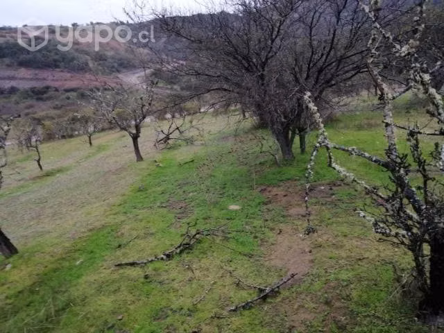 Parcela en proyecto lomas de peralillo - Imagen 7