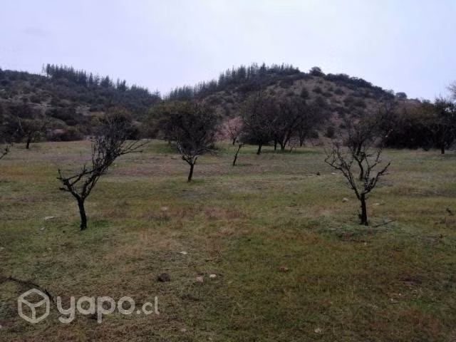 Parcela en proyecto lomas de peralillo - Imagen 5