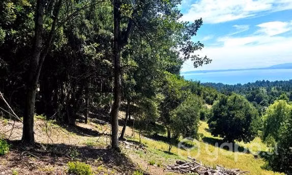 Hermosa parcela con vista asegurada al lago Pucon - Imagen 5