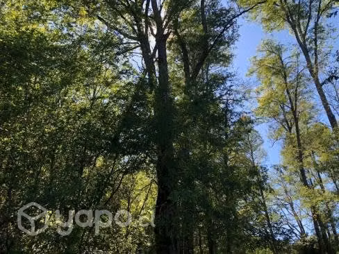 Parcelas con acceso a Río y Luz