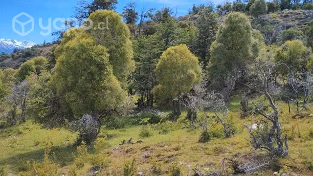 Parcelas de agrado