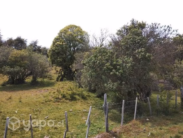 Parcelas de agrado
