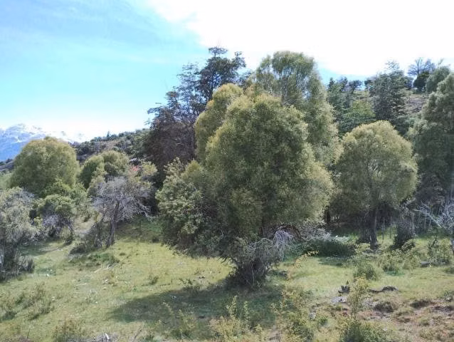 Parcelas de agrado