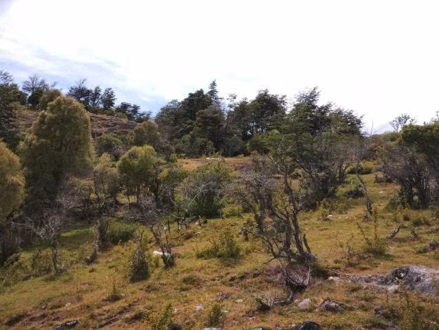 Parcelas de agrado