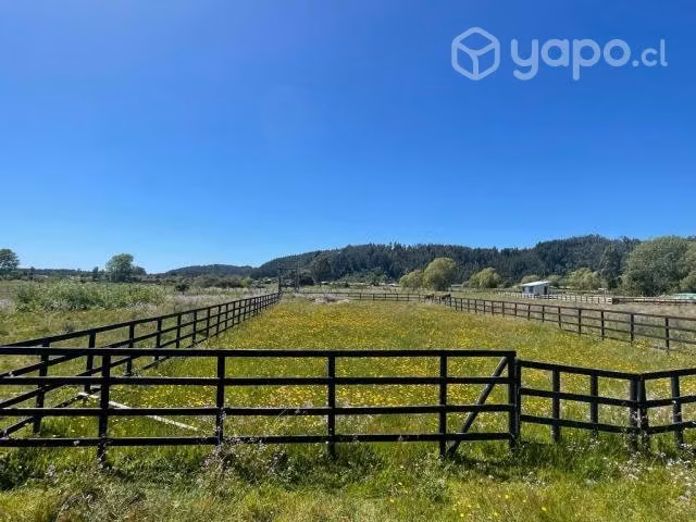 Hermoso terreno en Buchupureo, Ñuble