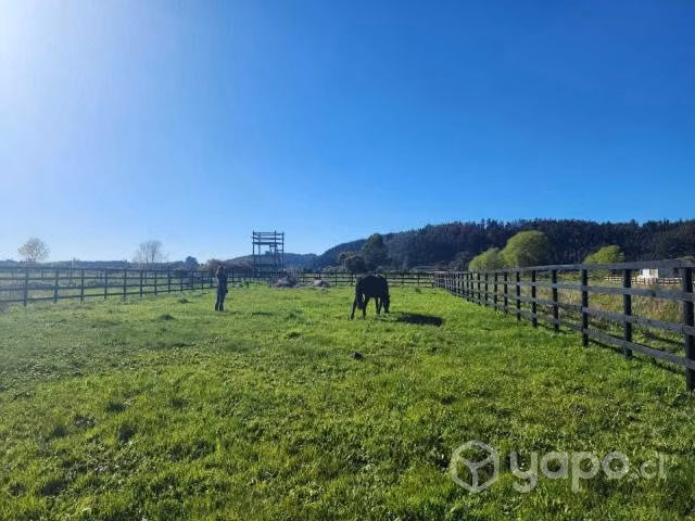 Hermoso terreno en Buchupureo, Ñuble
