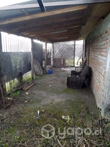 Casa en Maule - Imagen 7