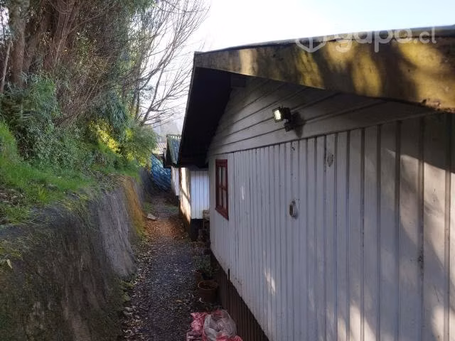 Oportunidad de negocio e inversión niebla valdivia