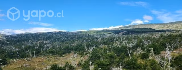 Se vende 11,09 ha. de terreno en Puerto Guadal