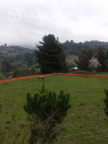 Terreno urbano Angol cerca del centro