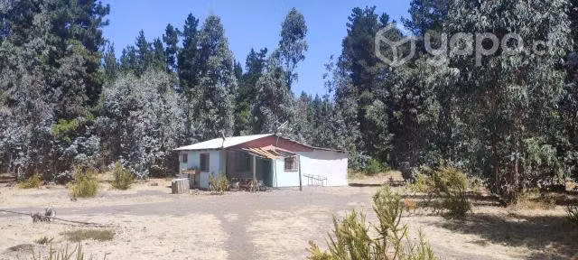 Vendo Terreno con Casa - Imagen 2