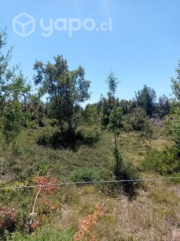 Sitios Lagunitas Puerto Montt 14x44 (616 m²) (3/3)