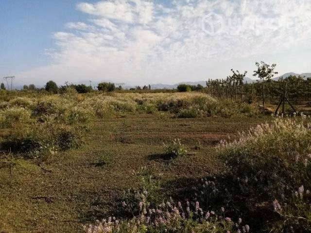 Venta de hectareas curicó