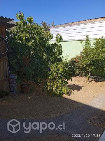Vendo casa en maule norte - Imagen 3