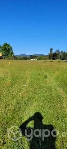 Terreno sector Pancul