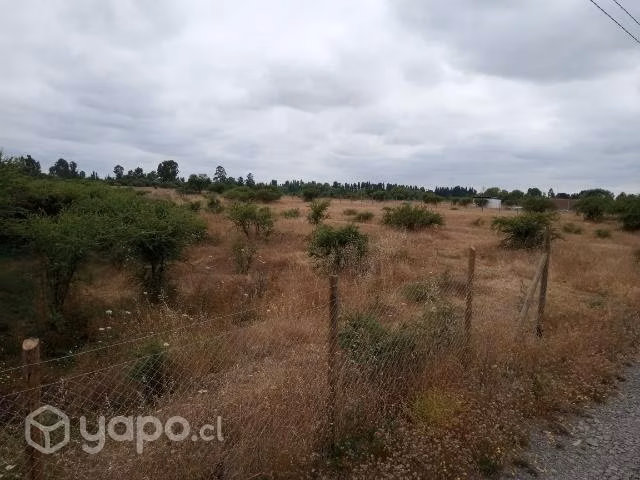 Parcela de agrado 5000m2 piguchen - Imagen 11