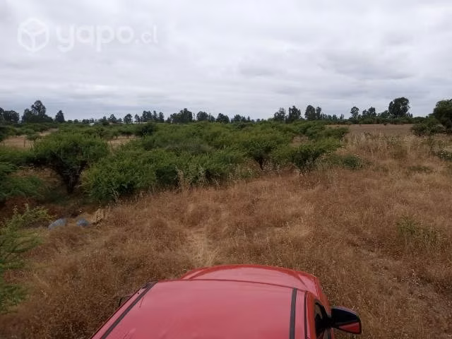 Parcela de agrado 5000m2 piguchen - Imagen 14