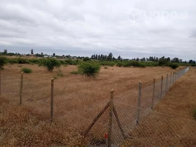 Parcela de agrado 5000m2 piguchen - Imagen 2