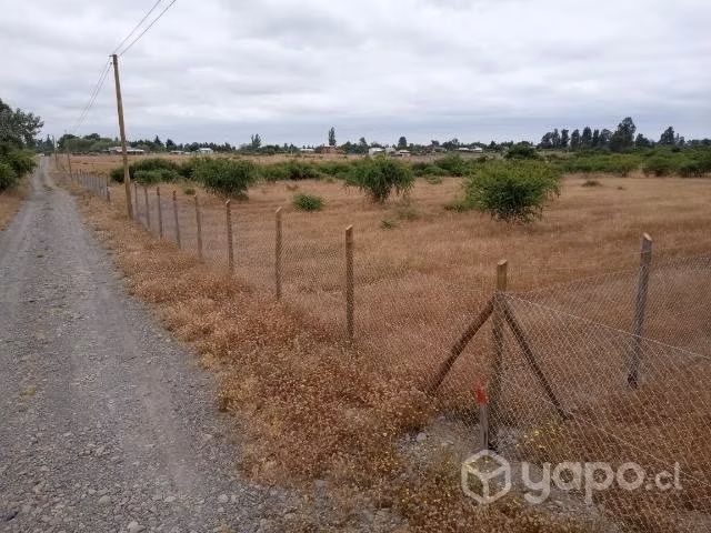 Parcela de agrado 5000m2 piguchen - Imagen 12