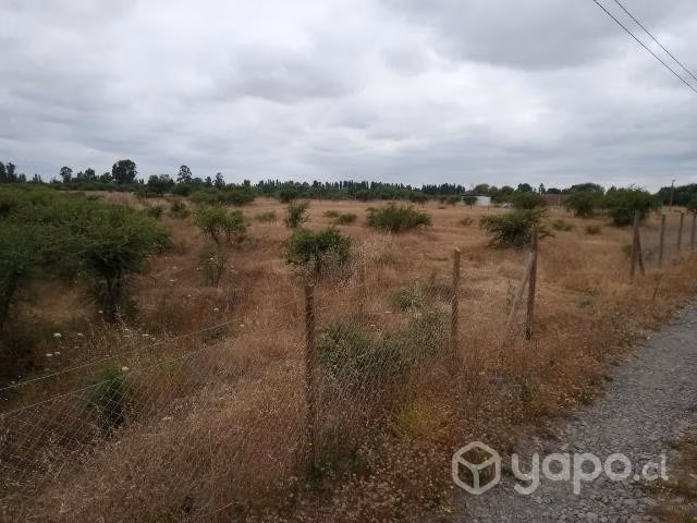 Parcela de agrado 5000m2 piguchen - Imagen 6