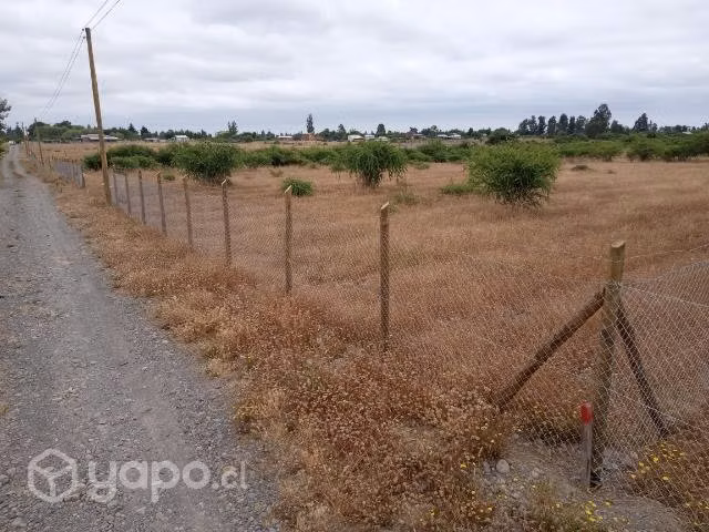 Parcela de agrado 5000m2 piguchen - Imagen 3