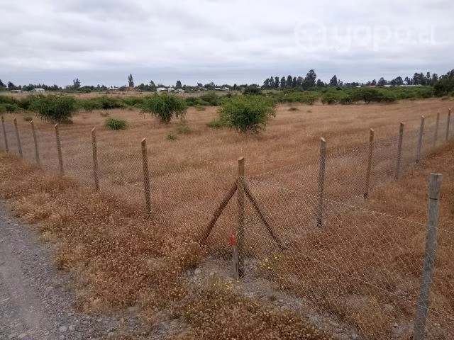 Parcela de agrado 5000m2 piguchen - Imagen 10