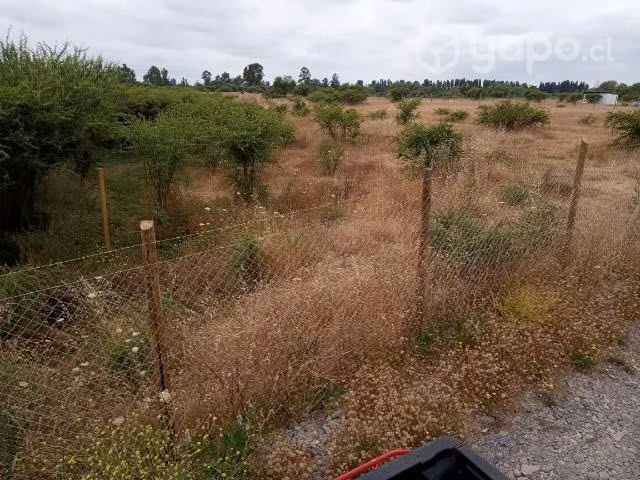 Parcela de agrado 5000m2 piguchen - Imagen 7