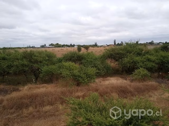 Parcela de agrado 5000m2 piguchen - Imagen 9