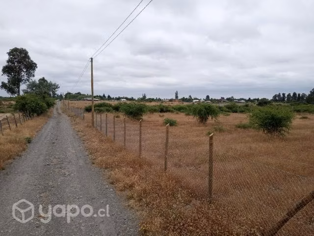 Parcela de agrado 5000m2 piguchen - Imagen 17