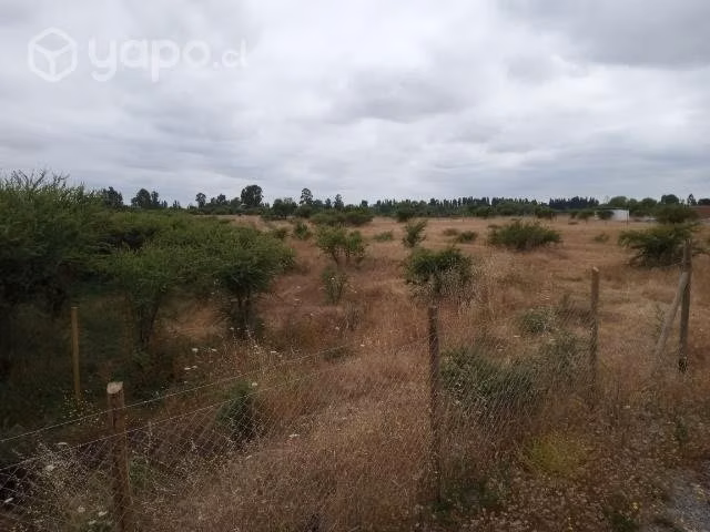 Parcela de agrado 5000m2 piguchen - Imagen 5