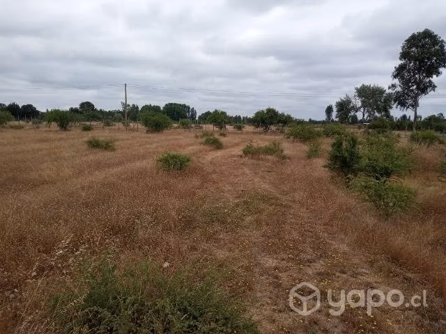Parcela de agrado 5000m2 piguchen - Imagen 15