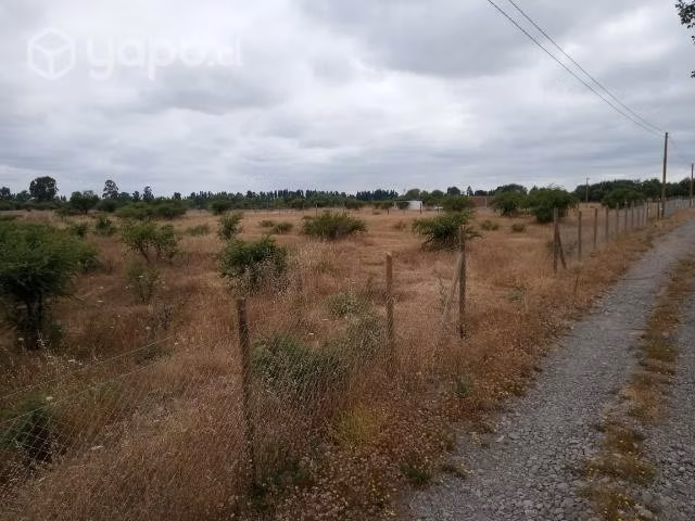 Parcela de agrado 5000m2 piguchen - Imagen 18
