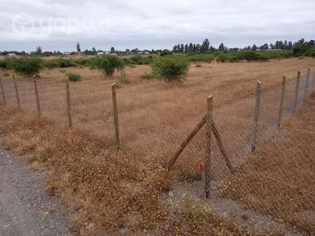 Parcela de agrado 5000m2 piguchen - Imagen 8