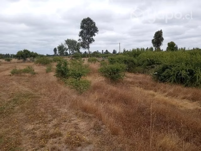 Parcela de agrado 5000m2 piguchen - Imagen 13