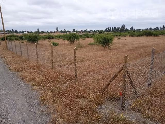 Parcela de agrado 5000m2 piguchen - Imagen 16