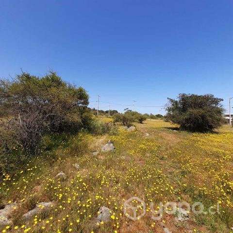 Vendo parcela de 5.000mt2 a 2 hrs de Santiago - Imagen 7