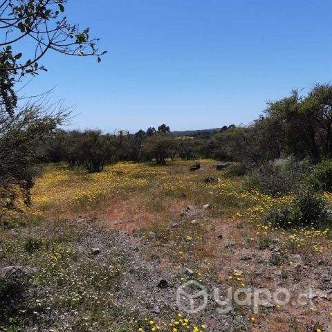 Vendo parcela de 5.000mt2 a 2 hrs de Santiago - Imagen 5