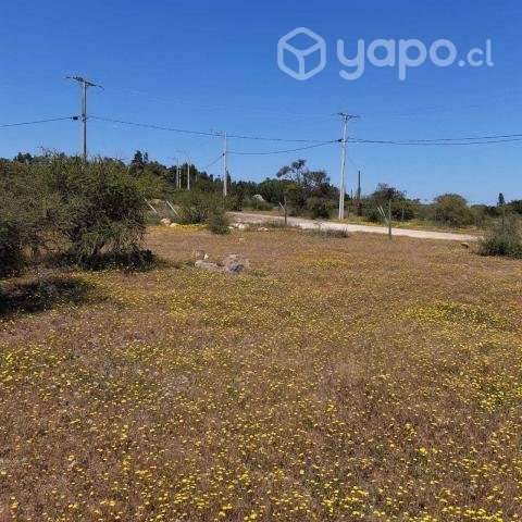 Vendo parcela de 5.000mt2 a 2 hrs de Santiago - Imagen 3
