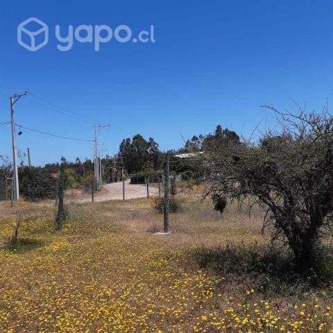 Vendo parcela de 5.000mt2 a 2 hrs de Santiago - Imagen 4