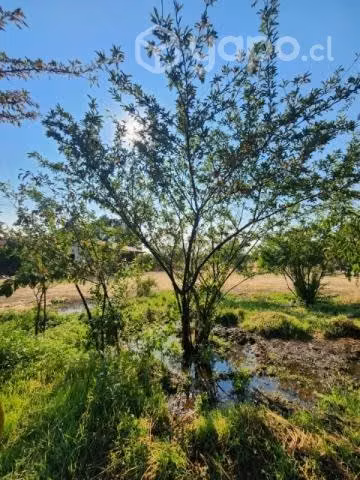 Se vende amplia propiedad terreno + casa - Imagen 10