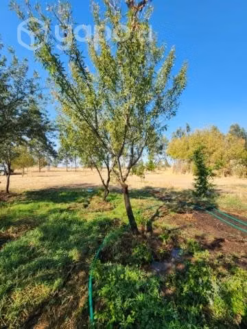 Se vende amplia propiedad terreno + casa - Imagen 13