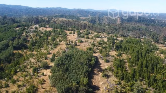 Campo en Tomeco, sector Santa Julia
