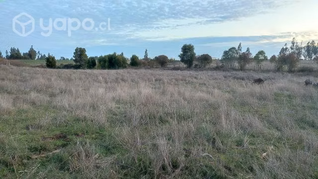 Terreno Camino a Chol Chol Comuna Temuco