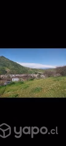 5.490mts. Terreno en olivar- Coinco