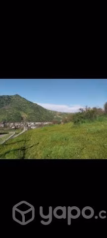 5.490mts. Terreno en olivar- Coinco - Imagen 10